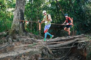 BIB: 
                            <button type="button" onclick="openModal(27752525)" class="btn btn-primary btn-sm float-right btn-popup" data-toggle="modal" data-target=".modal-high-quality">
                        <i class="fas fa-shopping-cart"></i> Add to Cart
                    </button>
                                            <button type="button" onclick="isThisMe(27752525, true)" class="btn btn-success btn-sm float-right btn-popup btn-isme hidden" data-toggle="tooltip" data-placement="bottom" title="นี่คือรูปของคุณใช่ไหม คลิกที่นี่เพื่อเอาเข้าอัลบั้ม">
                        <i class="fas fa-plus"></i> Add to album
                    </button>
                    <button type="button" onclick="isThisMe(27752525, false)" class="btn btn-warning btn-sm float-right btn-popup btn-isnotme hidden">
                        <i class="fas fa-ban"></i> Remove from album
                    </button>